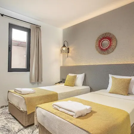 Grand Aquarium マルマリス